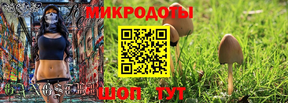 Псилоцибиновые грибы ЛСД Кинель